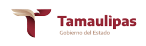 Cliente Gobierno de Tamaulipas